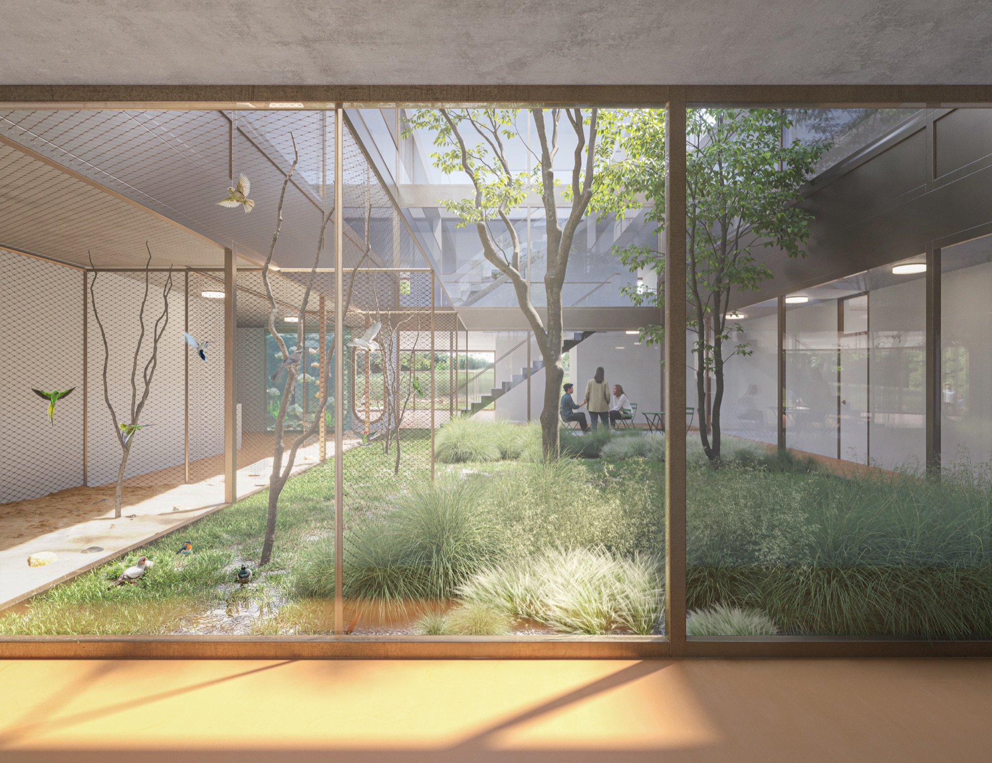 Visualisation intérieure — volières du futur refuge